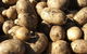 Guyra Lamb And Potato Festival - thumb 1