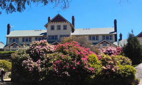 Hedonistic Hiking's Mount Buffalo Hike And Picnic - Pubs Sydney 1