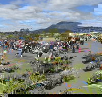 Hobart Showground Sunday Market - Weekly - Pubs Sydney