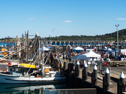 Ocean Harvest Festival - Pubs Sydney 0