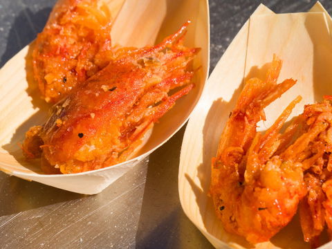 Ocean Harvest Festival - Pubs Sydney 1