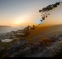 Photowalk with Jon Harris Photography - Nature Photography - Pubs Sydney