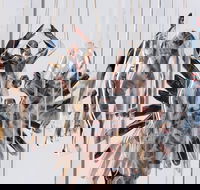 Pulse Perspectives - Virtual Exhibition - Pubs Sydney