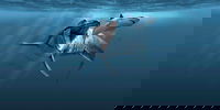 Sea Monsters - Prehistoric Ocean Predators