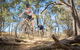 Shimano Mountain Bike Grand Prix | Logan - thumb 0