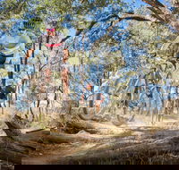 Shimano Mountain Bike Grand Prix  Logan - Pubs Sydney