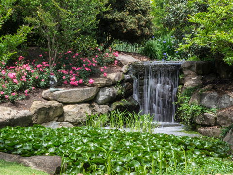 Spring Time At Hunter Valley Gardens - Pubs Sydney 1