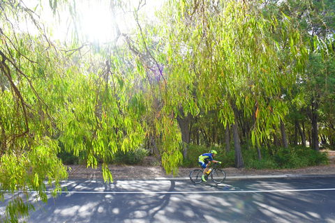 SunSmart FunMan Triathlon - Pubs Sydney 0