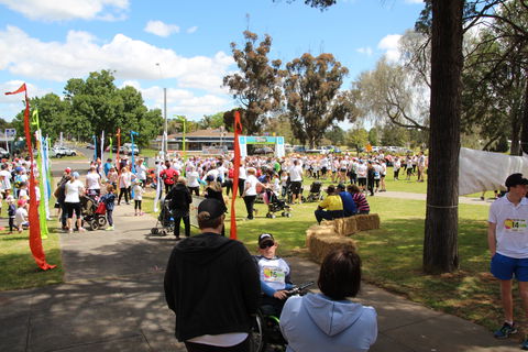 Taste Coleambally- Food And Farm Festival - Pubs Sydney 1