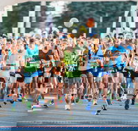 The Canberra Times Marathon Festival - Pubs Sydney