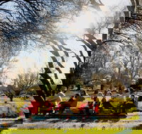 The Orange Society of Model Engineers - Miniature Train Rides - Pubs Sydney