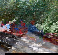 Twilight Run   Willans Hill Miniature Railway - Pubs Sydney