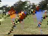 Veterans Touch Footy Carnival