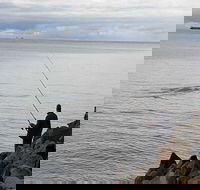 Whale Watching in Portland - Pubs Sydney