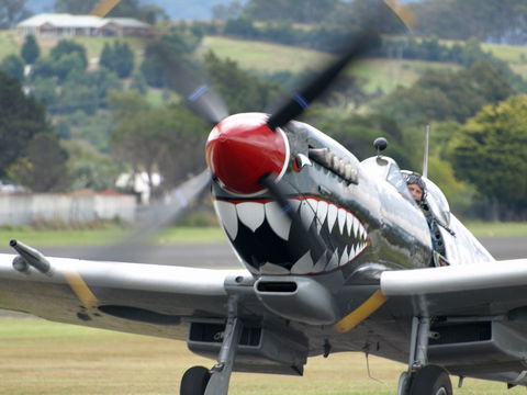 Wings Over Illawarra - Pubs Sydney 0