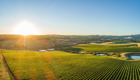 Wine And Food At Altitude - Pubs Sydney 0