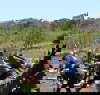Yoga in the Vines - Pubs Sydney