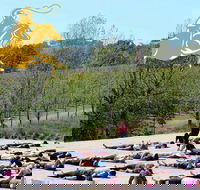 Yoga in the Vines - Pubs Sydney