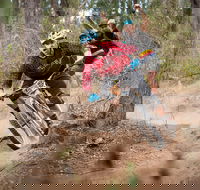 Fox Superflow sealed by Stan's Race  Greenvalleys - Pubs Sydney