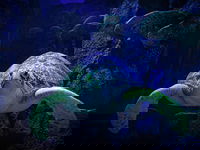 Sydney's Aquarium