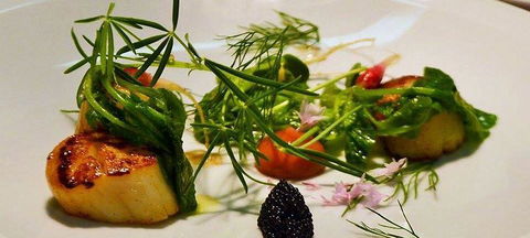 Altair Restaurant - Pubs Sydney 1