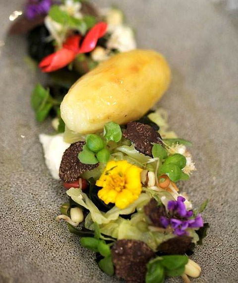 Altair Restaurant - Pubs Sydney 4