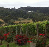 Paringa Estate - Pubs Sydney