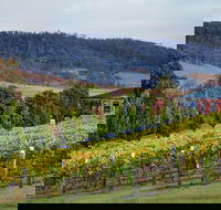 De Bortoli Winery  Restaurant - Pubs Sydney
