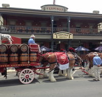 Terminus Hotel - Pubs Sydney