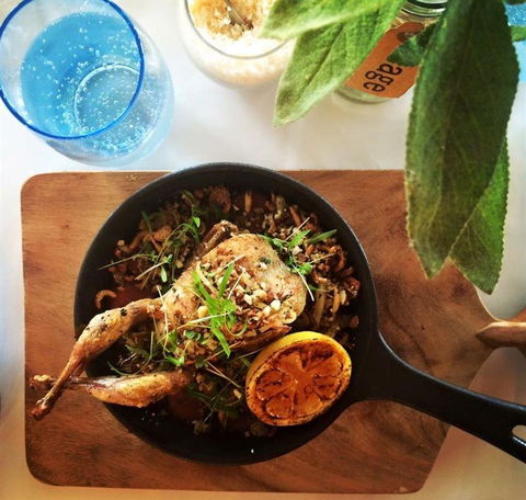 H2O Restaurant & Bar - Pubs Sydney 10