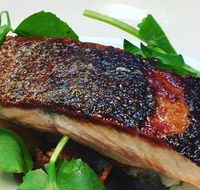 The Shaggy Cow - Pubs Sydney