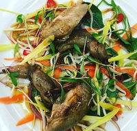Tuileries Restaurant - Pubs Sydney