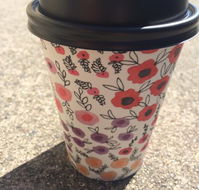 Scatter Bean - Pubs Sydney