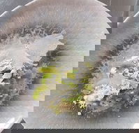 Hampden Deli Dining and School - Pubs Sydney