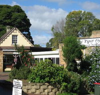 Tipsy Fig - Pubs Sydney