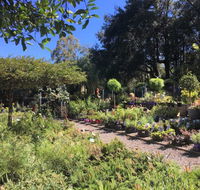 Yatte Yattah Nursery  Cafe - Pubs Sydney