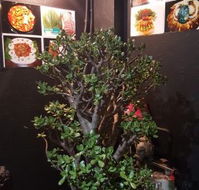 Wagyu Factory Korean BBQ Restaurant - Pubs Sydney