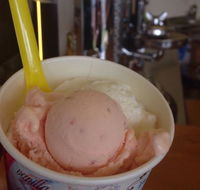 Bermagui Gelati Clinic - Pubs Sydney