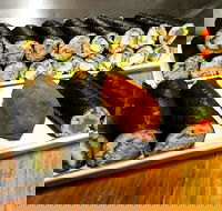 Freewave Sushi  Burgers - Pubs Sydney