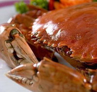 Ruby Chinese Restaurant - Pubs Sydney