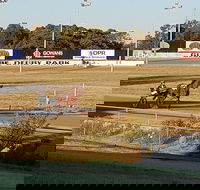 Paceway - Pubs Sydney