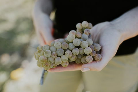 Rowlee Vine To Table Experience - Pubs Sydney 1