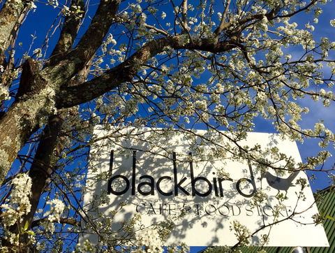 Blackbird Cafe - Pubs Sydney 2