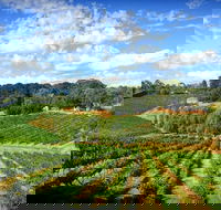 Kellybrook Winery and Kelly Brothers Cider - Pubs Sydney