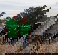 Milawa Organic Beef - Pubs Sydney