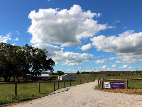 Short Sheep Micro-Winery - Pubs Sydney 0