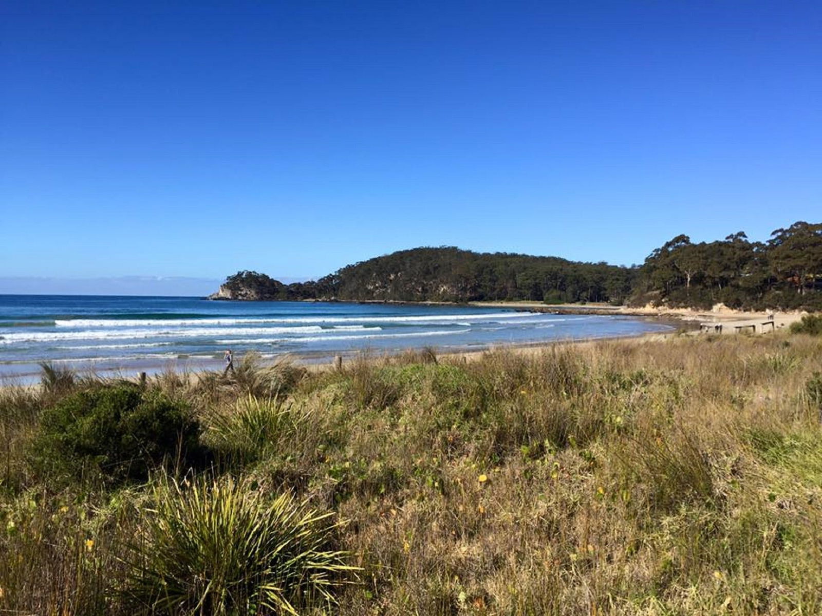 Surf Beach NSW Pubs Sydney
