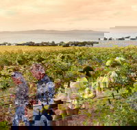 Boston Bay Wines - Pubs Sydney