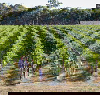 Weathercraft Wines - Pubs Sydney