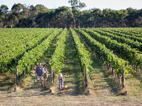 Weathercraft Wines - Pubs Sydney 0